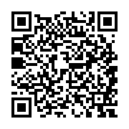 QR code for 5463813