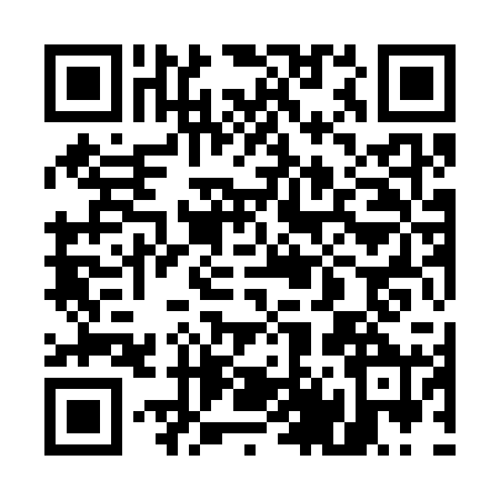 QR code for 5493203