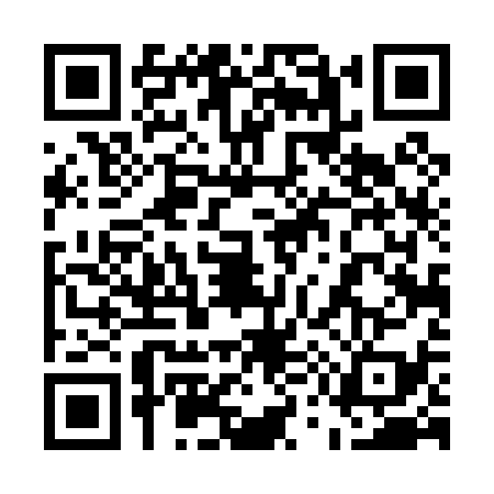 QR code for 5540394