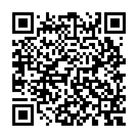QR code for 591393