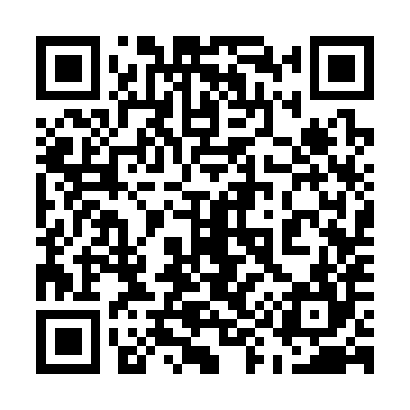 QR code for 593384