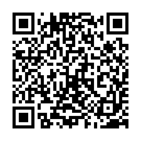 QR code for 593393