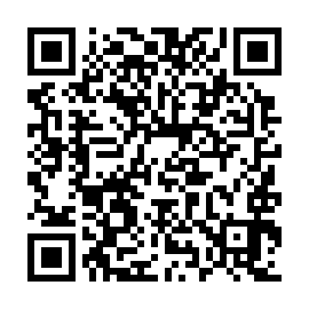 QR code for 594393