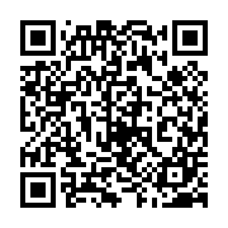 QR code for 595007