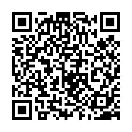 QR code for 597411