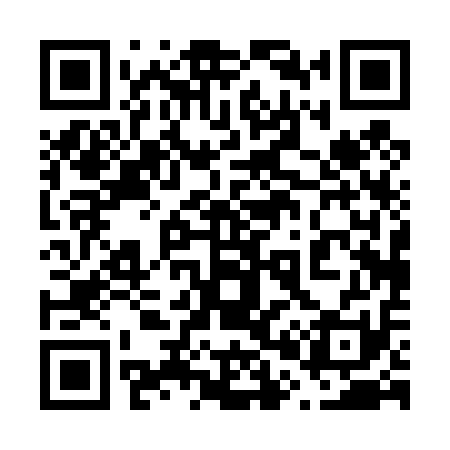 QR code for 600411