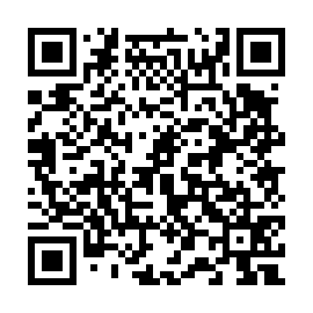 QR code for 600475