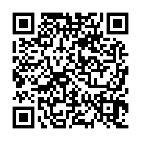 QR code for 6009049