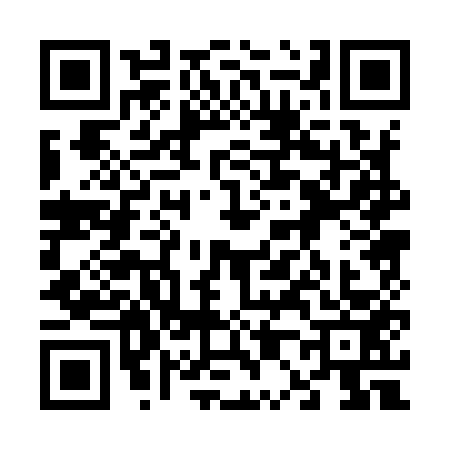 QR code for 6009539