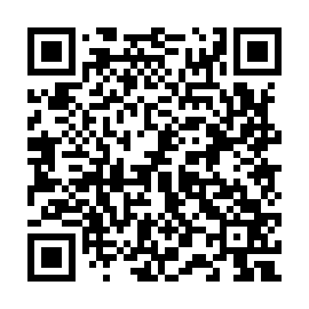 QR code for 600963