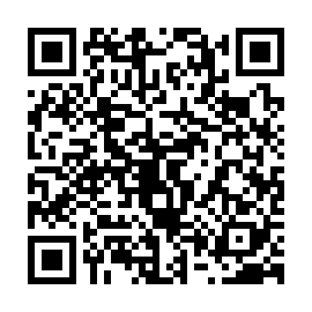 QR code for 6013287
