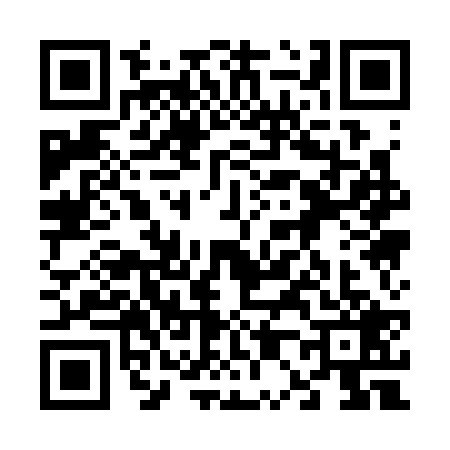 QR code for 6013291