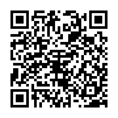 QR code for 6013957
