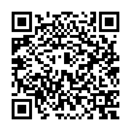 QR code for 6031343