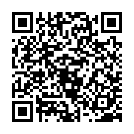 QR code for 6063811