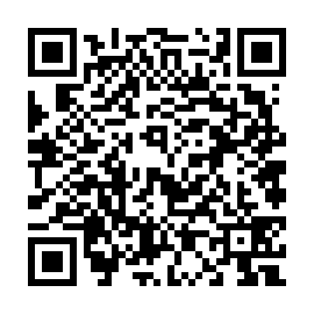 QR code for 6066393