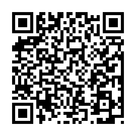 QR code for 6074385