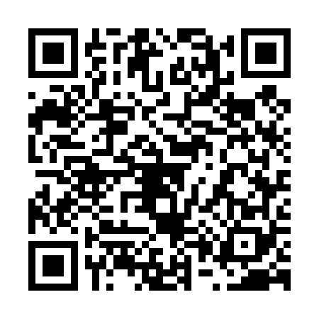 QR code for 6074687
