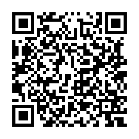 QR code for 6138634