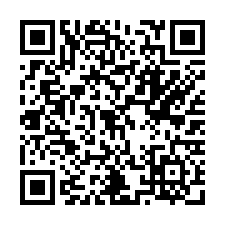 QR code for 6163345