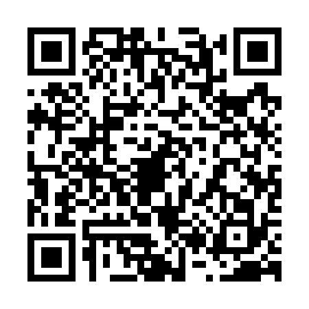 QR code for 6217325