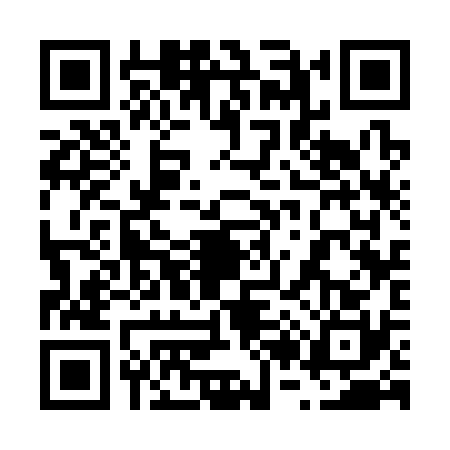 QR code for 6233304