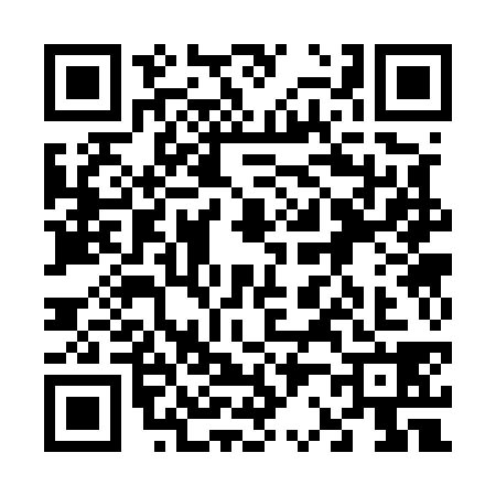 QR code for 6235384