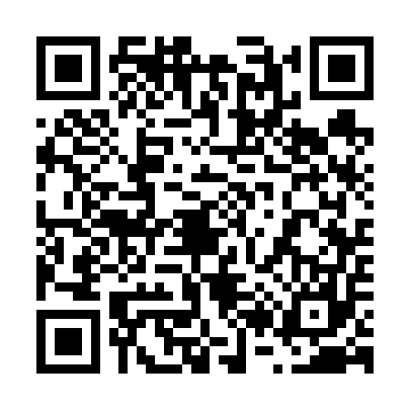QR code for 6236574