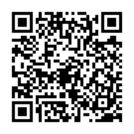 QR code for 6236631