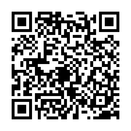 QR code for 6290411