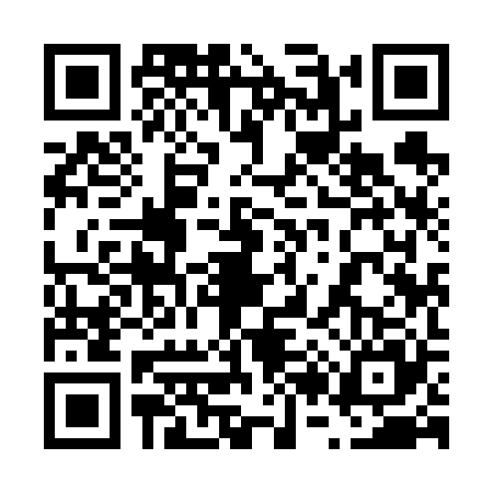 QR code for 6296250