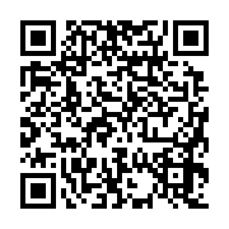 QR code for 6333784