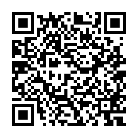 QR code for 6333891