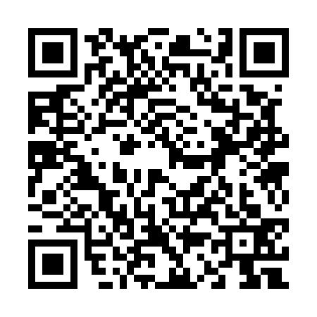 QR code for 6335333