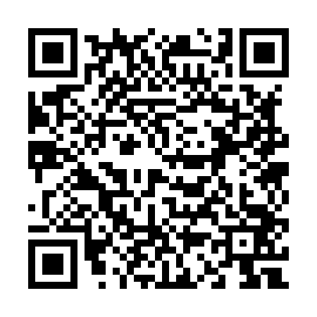 QR code for 6338439