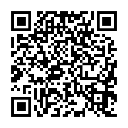 QR code for 6338515