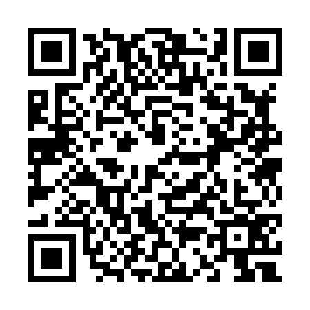 QR code for 6338763