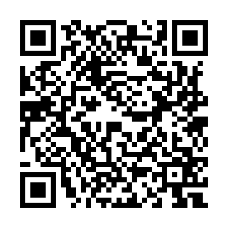 QR code for 6339667