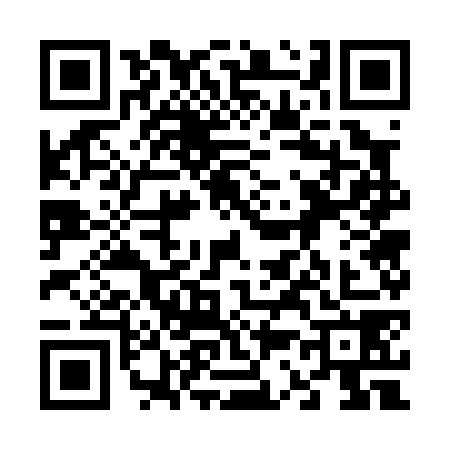 QR code for 6370783