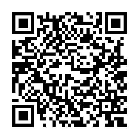 QR code for 6379650