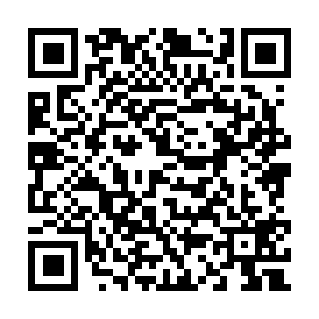 QR code for 6382194