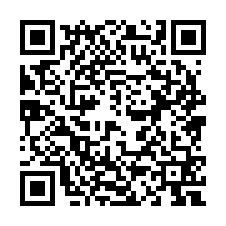 QR code for 6382601