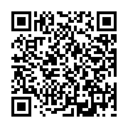 QR code for 6383904