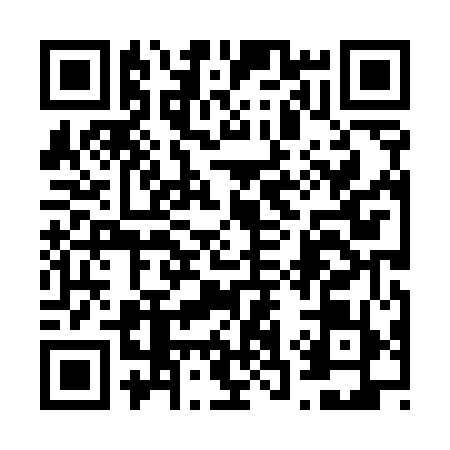 QR code for 6385597