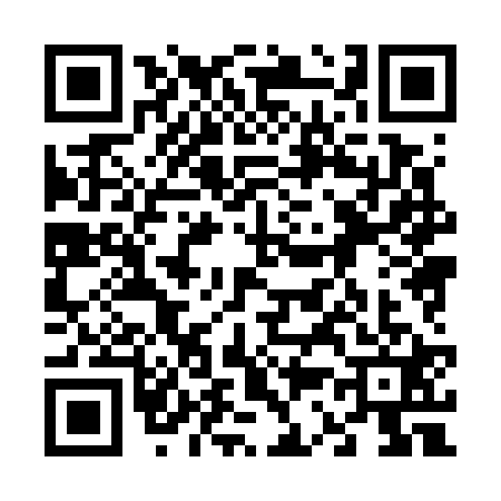 QR code for 6387217