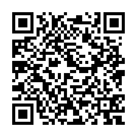 QR code for 6387319
