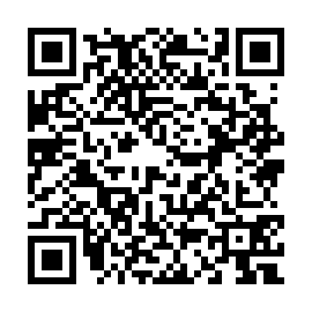 QR code for 6393709