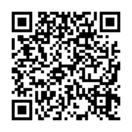 QR code for 6394380