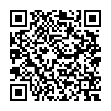 QR code for 6394663