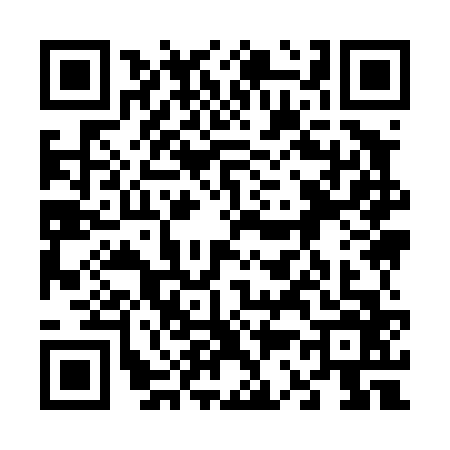 QR code for 6394666